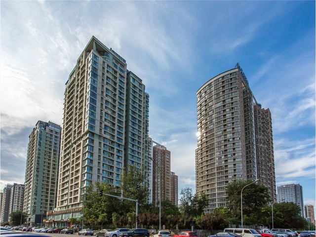 成都带磁不锈钢锯齿带品牌